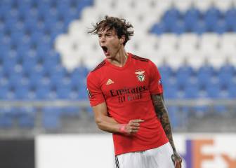 Darwin enamora a Portugal