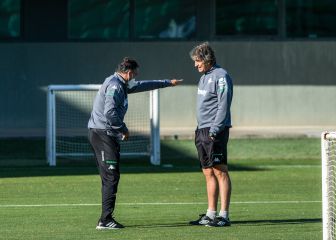 Las siete finales de Pellegrini