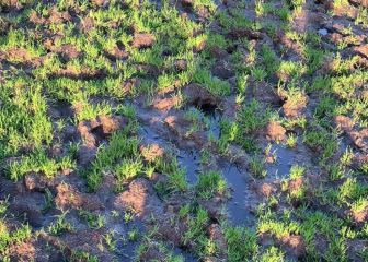 El Ejido se indigna con el Depor por el campo de entrenamiento