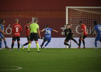 Los elementos tumban al líder