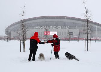 No puede entrenarse... a dos días de jugar ante el Sevilla