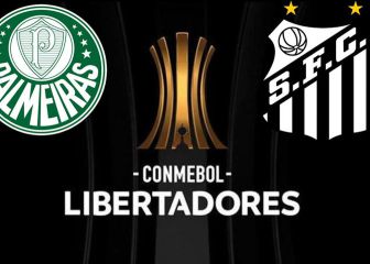 Final Copa Libertadores: análisis previo del Palmeiras-Santos