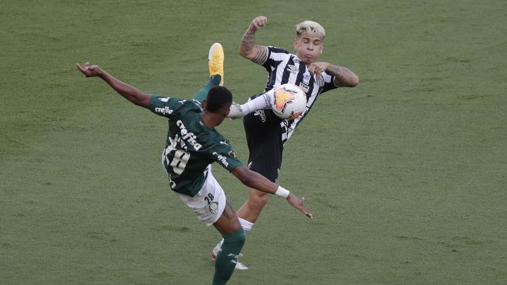 Palmeiras-Santos en imágenes