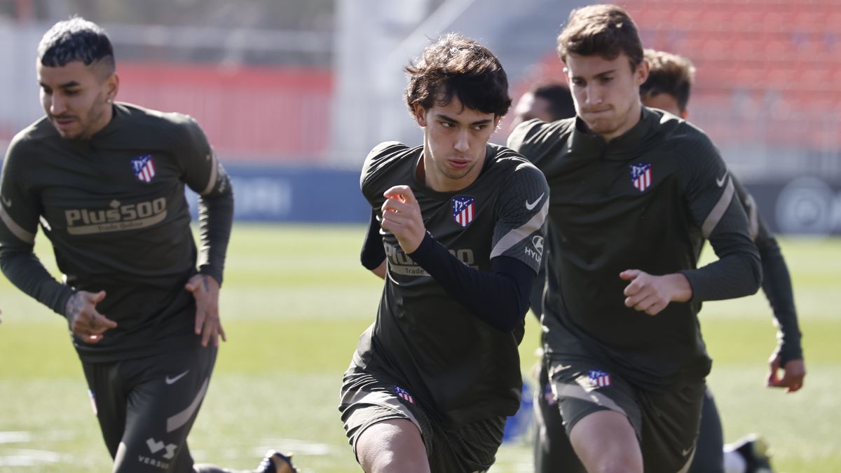 The spotlight on João Félix