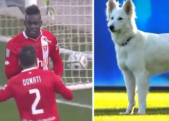 De uno de los goles del año que aprieta la Bundesliga al perro del presidente del Zúrich parando la liga suiza
