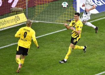 Reinier: brotes verdes