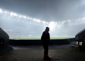 El árbol que se empeña en no dejar ver el bosque