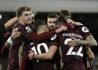 Bamford hunde al Fulham