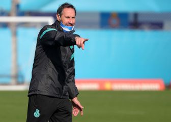 El puzle de Vicente Moreno