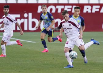 Caballo, positivo en coronavirus