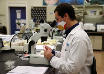 Aspetar potencia los esfuerzos cataríes en organizar el Mundial de 2022 pese a la pandemia