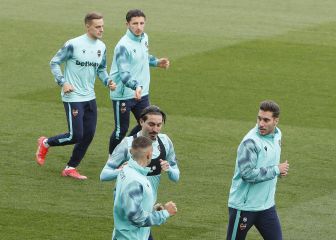 Campaña ultima su regreso