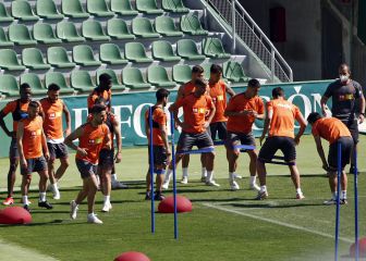 Elche es franjiverde y ché