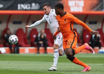 Holanda ve brotes verdes