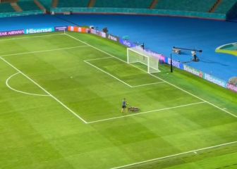 Los operarios trabajan para recuperar el césped de La Cartuja