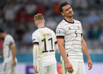 Schweinsteiger llama 