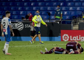 Un año después, el ave fénix