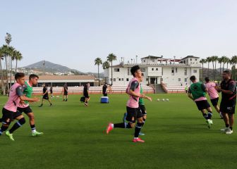 Periquitos y sus depredadores