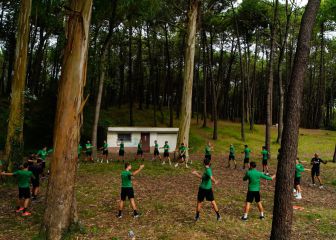 Día de campo y playa