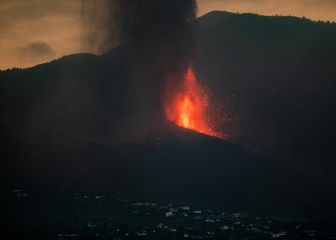Subasta solidaria de Las Palmas