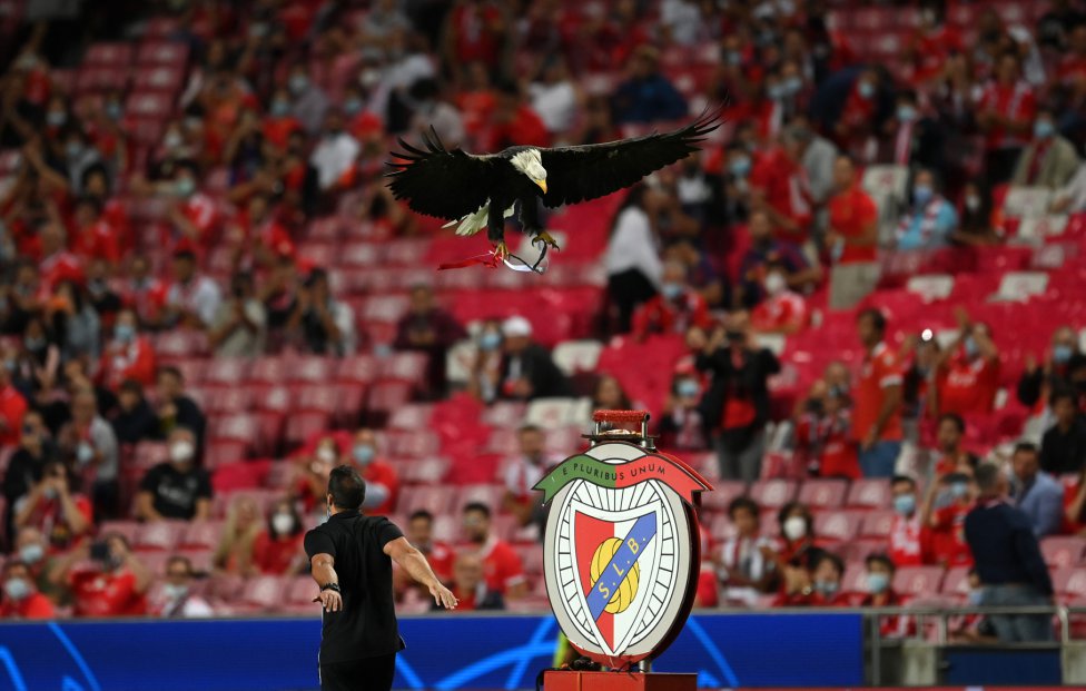 El águila Vitória, la mascota del Benfica.