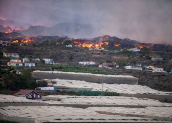 La RFEF subastará camisetas de la Selección firmadas para apoyar a los afectados por el volcán