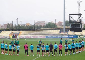 Dos gallitos con resaca