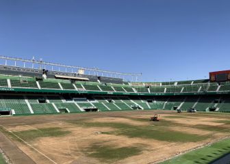 El Martínez Valero inicia su resiembra para solucionar el estado del césped
