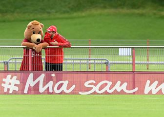 Una charla entre un oso y un humano