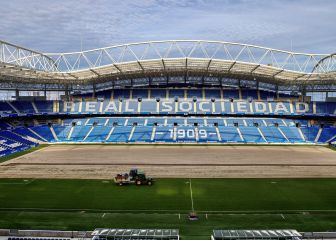 El Reale Arena tiene nuevo césped por tercera vez