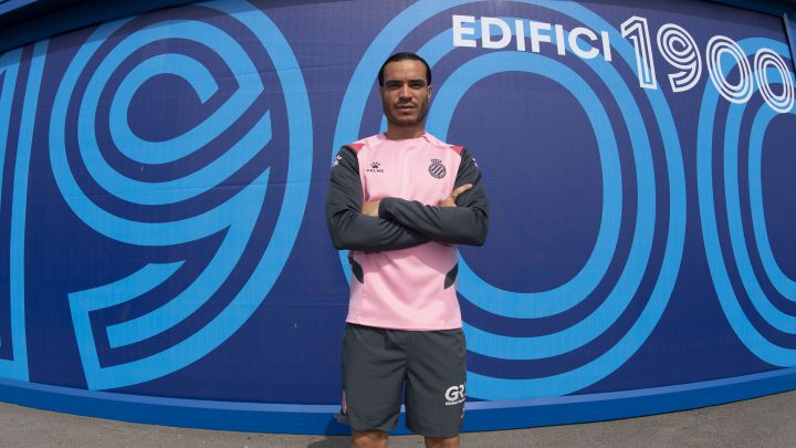 RAUL DE TOMAS ESPANYOL