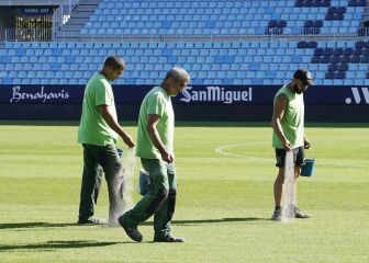 La Rosaleda se prepara para el invierno