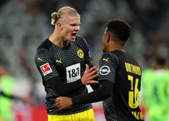 Haaland es un animal