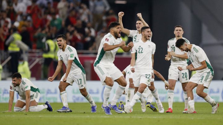 Jugadores de Argelia celebran un gol