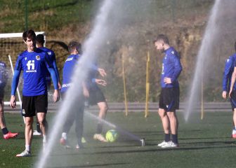 Brote de coronavirus en Zubieta