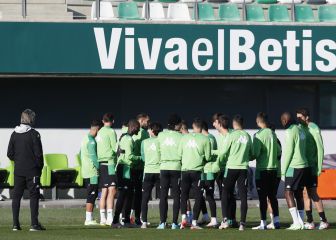 La espina de Pellegrini