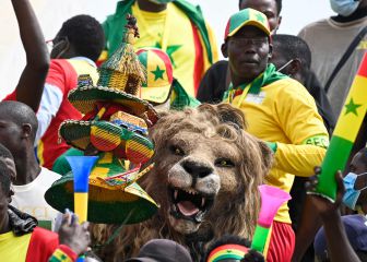 Un peculiar espectador en el Senegal-Guinea
