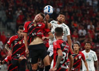 Palmeiras, suma y sigue