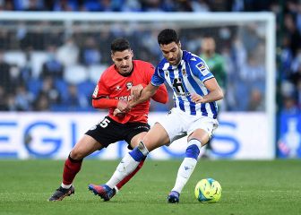 Merino : 