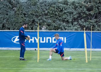 Wass, con balón en el césped
