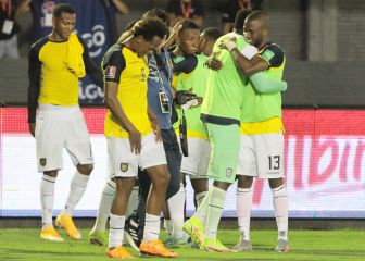 ¡Ecuador está en Qatar!