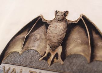 ¿Por qué el escudo del Valencia lleva un murciélago?