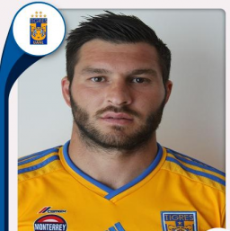 Gignac comanda a los goleadores de Tigres en finales