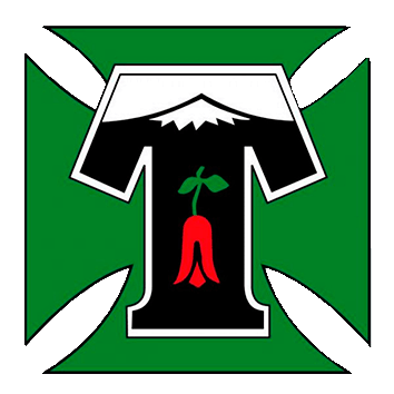 Escudo/Bandera Deportes Temuco