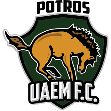 Escudo/Bandera Potros UAEM