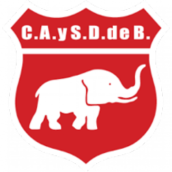 Escudo/Bandera Defensores (Villa Ramallo)