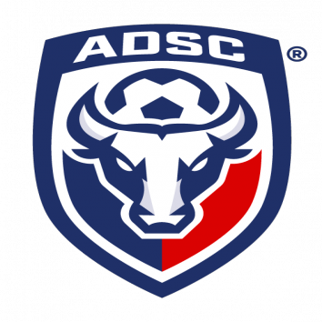 Escudo/Bandera San Carlos