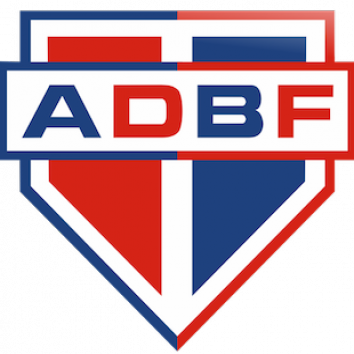 Escudo/Bandera Bahia de Feira