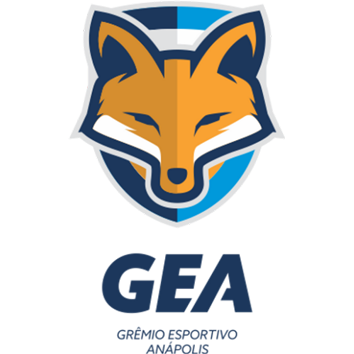 Escudo/Bandera Anápolis