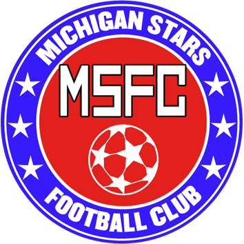 Escudo/Bandera Michigan Stars